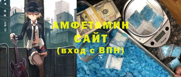 индика Козловка