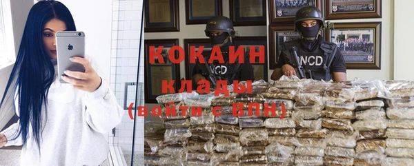 индика Козловка
