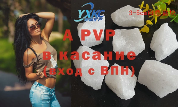 индика Козловка
