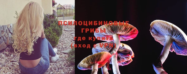 индика Козловка