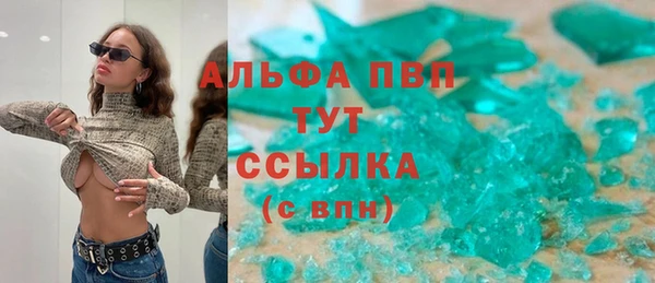 индика Козловка