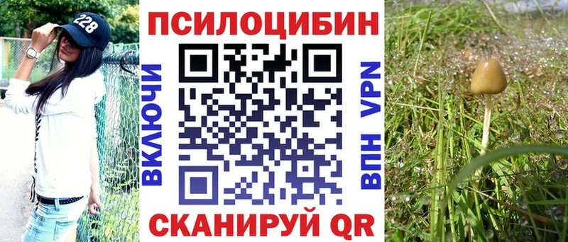 Купить  Дмитров  Псилоцибиновые грибы прущие грибы 